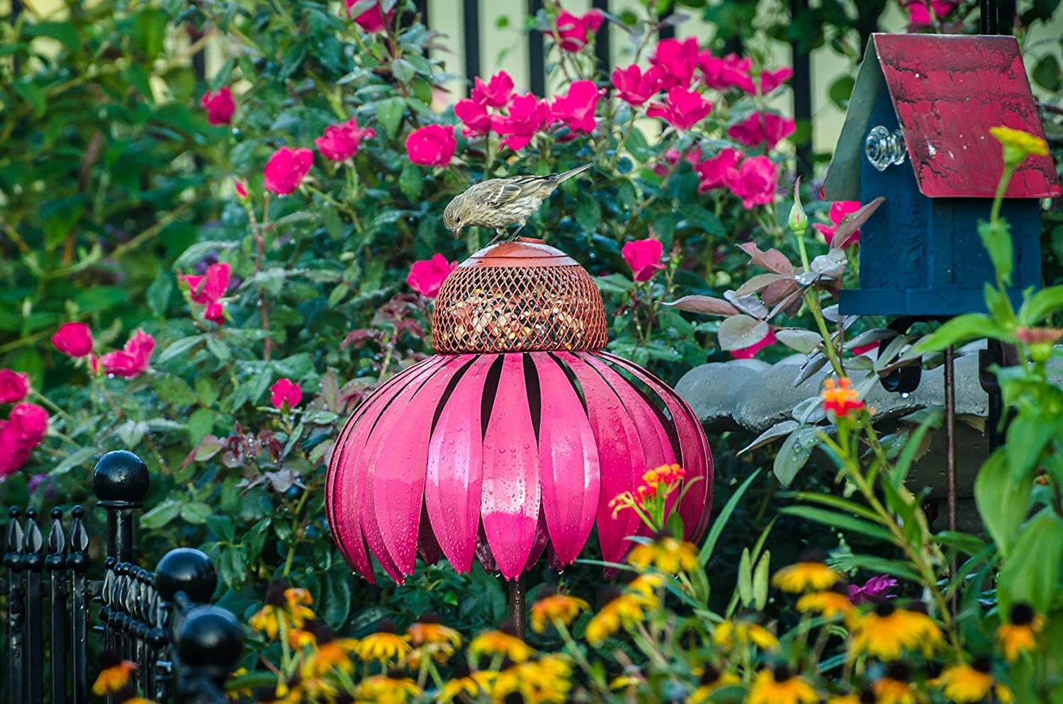 Kegleblomst Vogel Foderhus