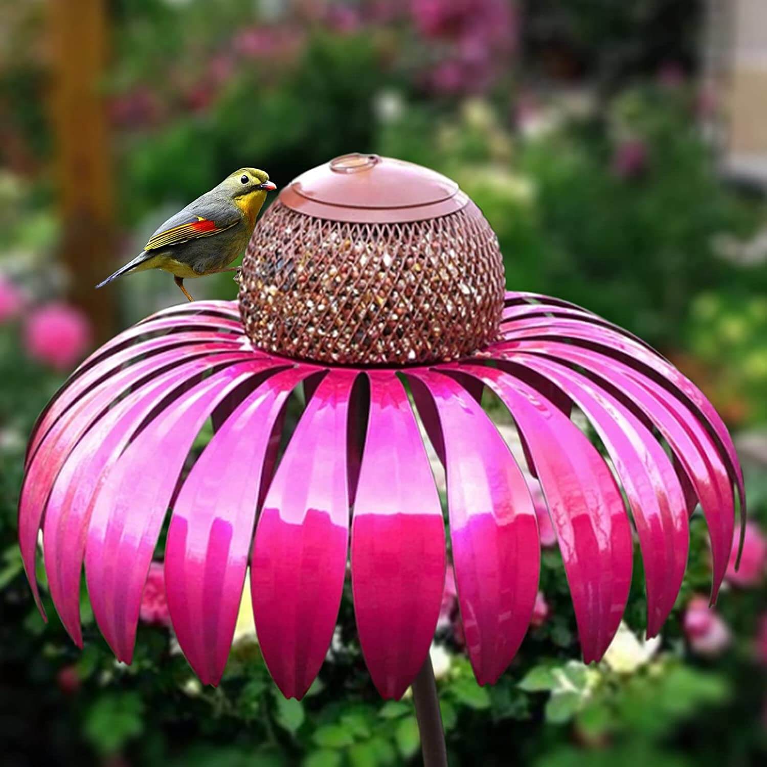 Kegleblomst Vogel Foderhus